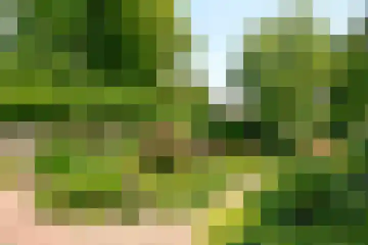 Brede Englaan 11 Huizen thumbnail 23