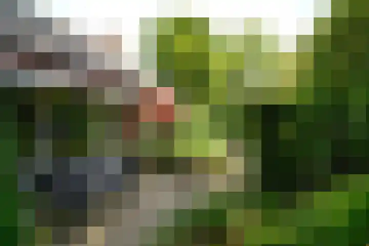 Brede Englaan 11 Huizen thumbnail 24