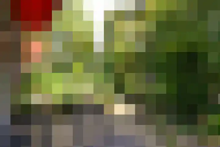 Brede Englaan 11 Huizen thumbnail 25