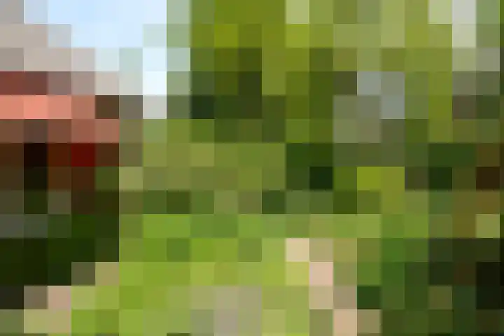 Brede Englaan 11 Huizen thumbnail 26