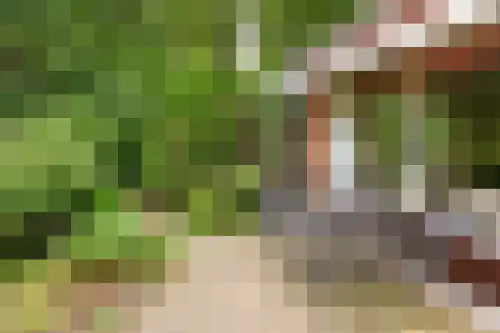 Brede Englaan 11 Huizen thumbnail 27