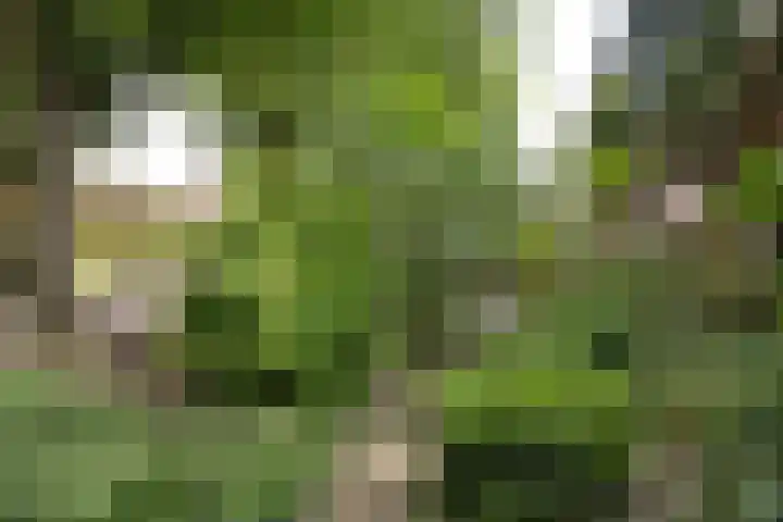 Brede Englaan 11 Huizen thumbnail 28