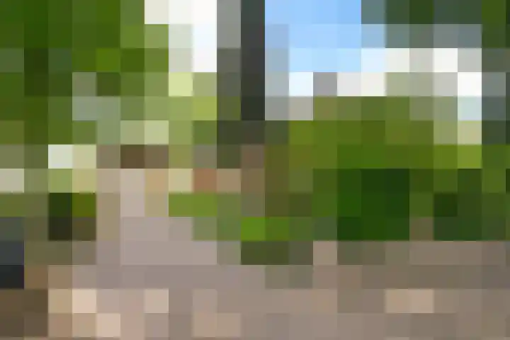 Brede Englaan 11 Huizen thumbnail 30