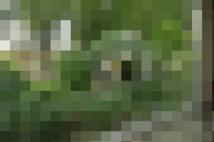 Brede Englaan 11 Huizen thumbnail 7