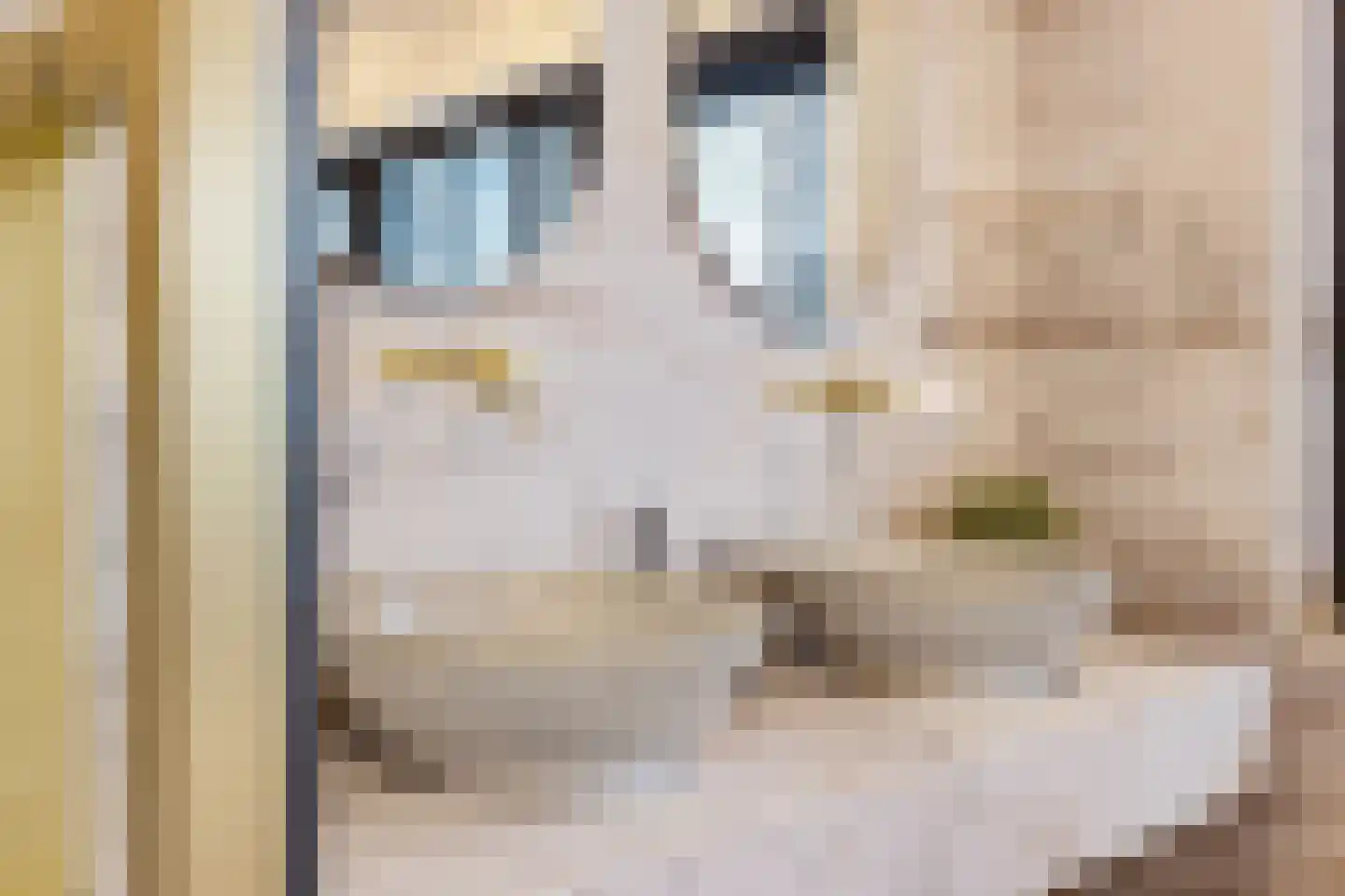 Brede Englaan 9 Huizen thumbnail 33