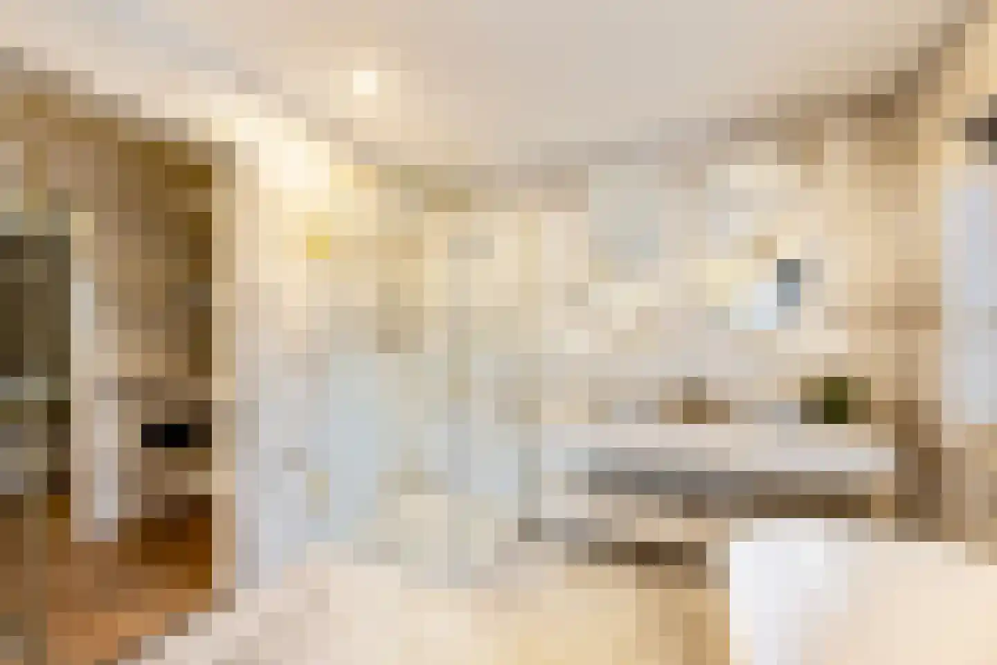 Brede Englaan 9 Huizen thumbnail 35