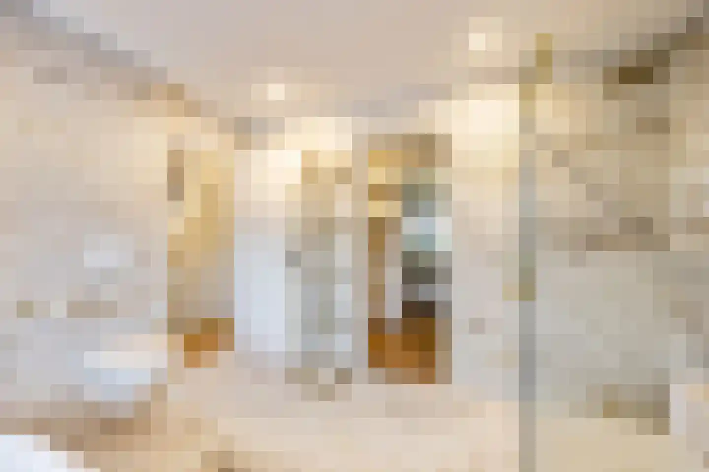 Brede Englaan 9 Huizen thumbnail 36