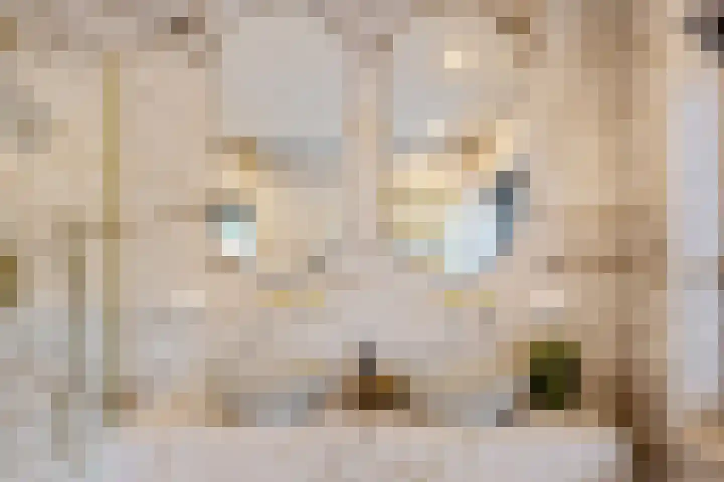 Brede Englaan 9 Huizen thumbnail 38