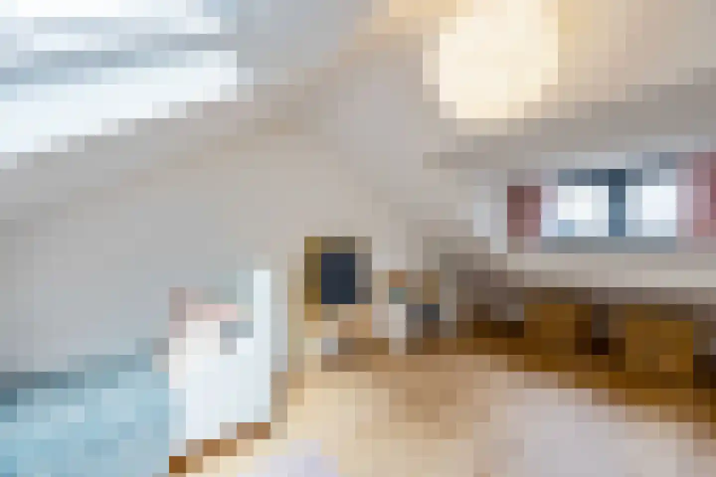 Brede Englaan 9 Huizen thumbnail 41