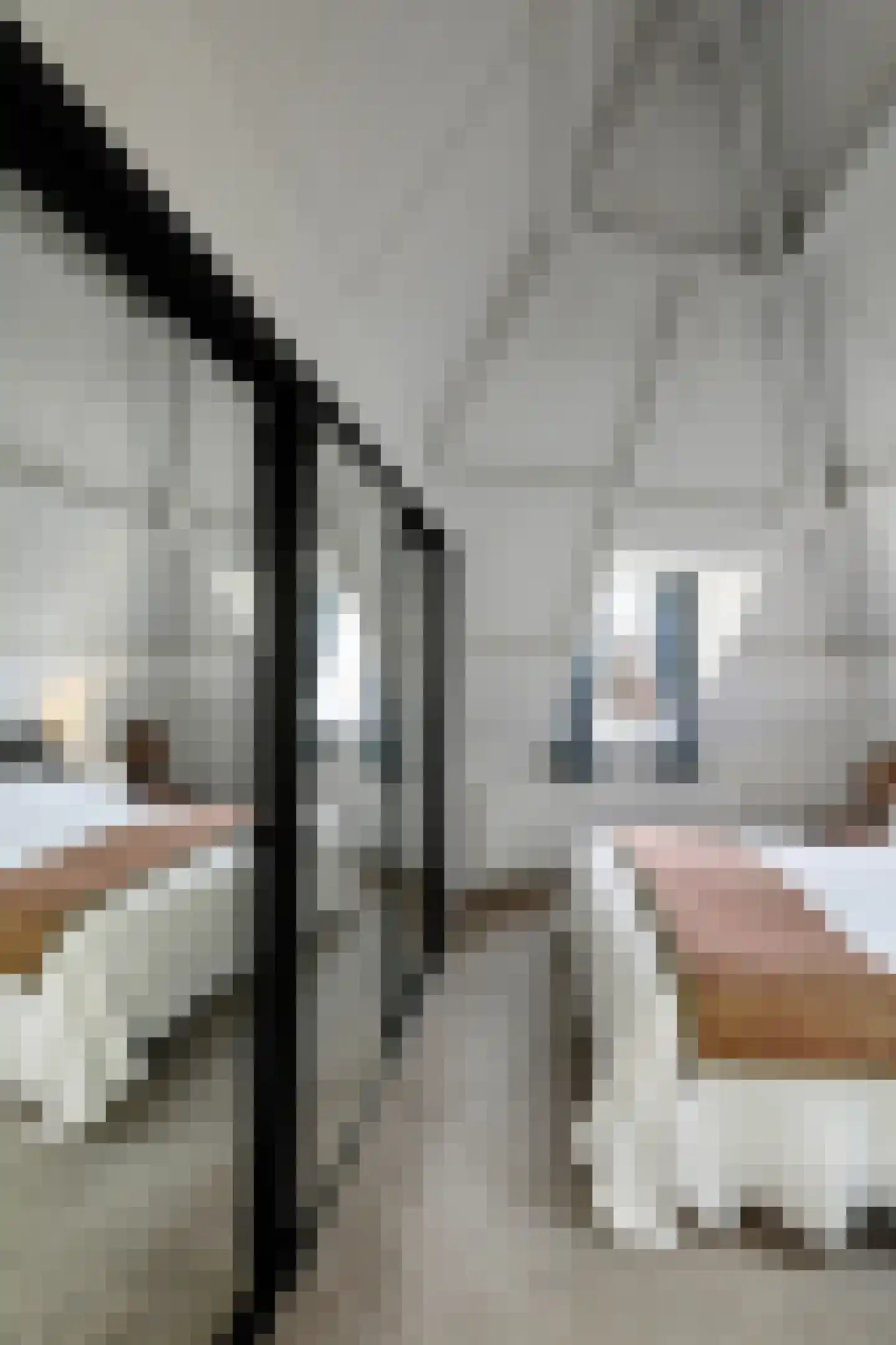 Brede Haven 38 's-Hertogenbosch thumbnail 30