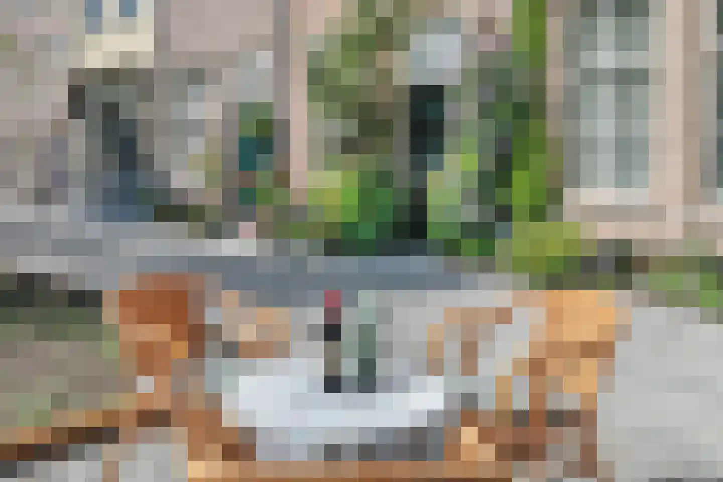 Brede Haven 38 's-Hertogenbosch thumbnail 44
