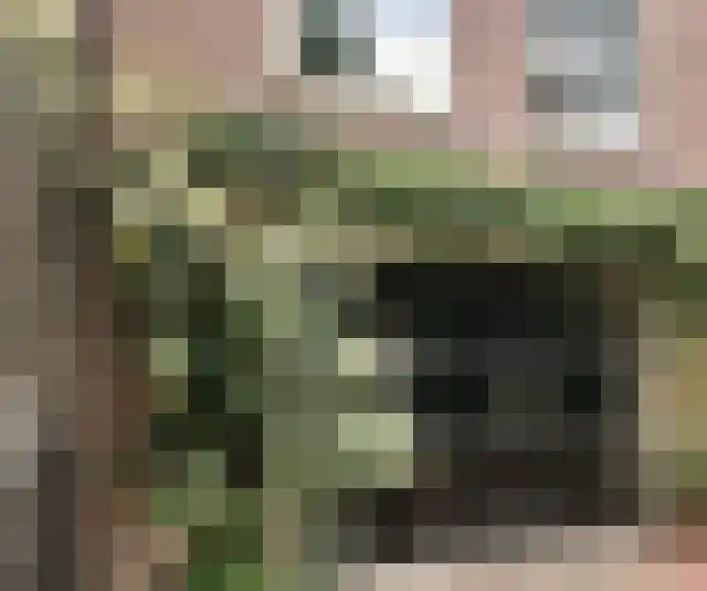 Brede Haven 38 's-Hertogenbosch thumbnail 45