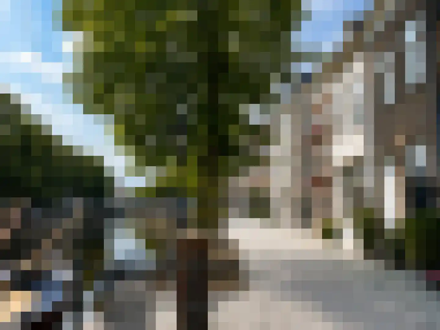 Brede Haven 41 's-Hertogenbosch thumbnail 39