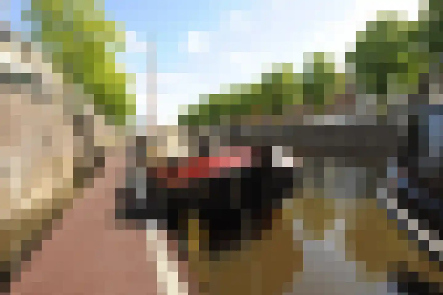 Brede Haven 57 A 's-Hertogenbosch thumbnail 23
