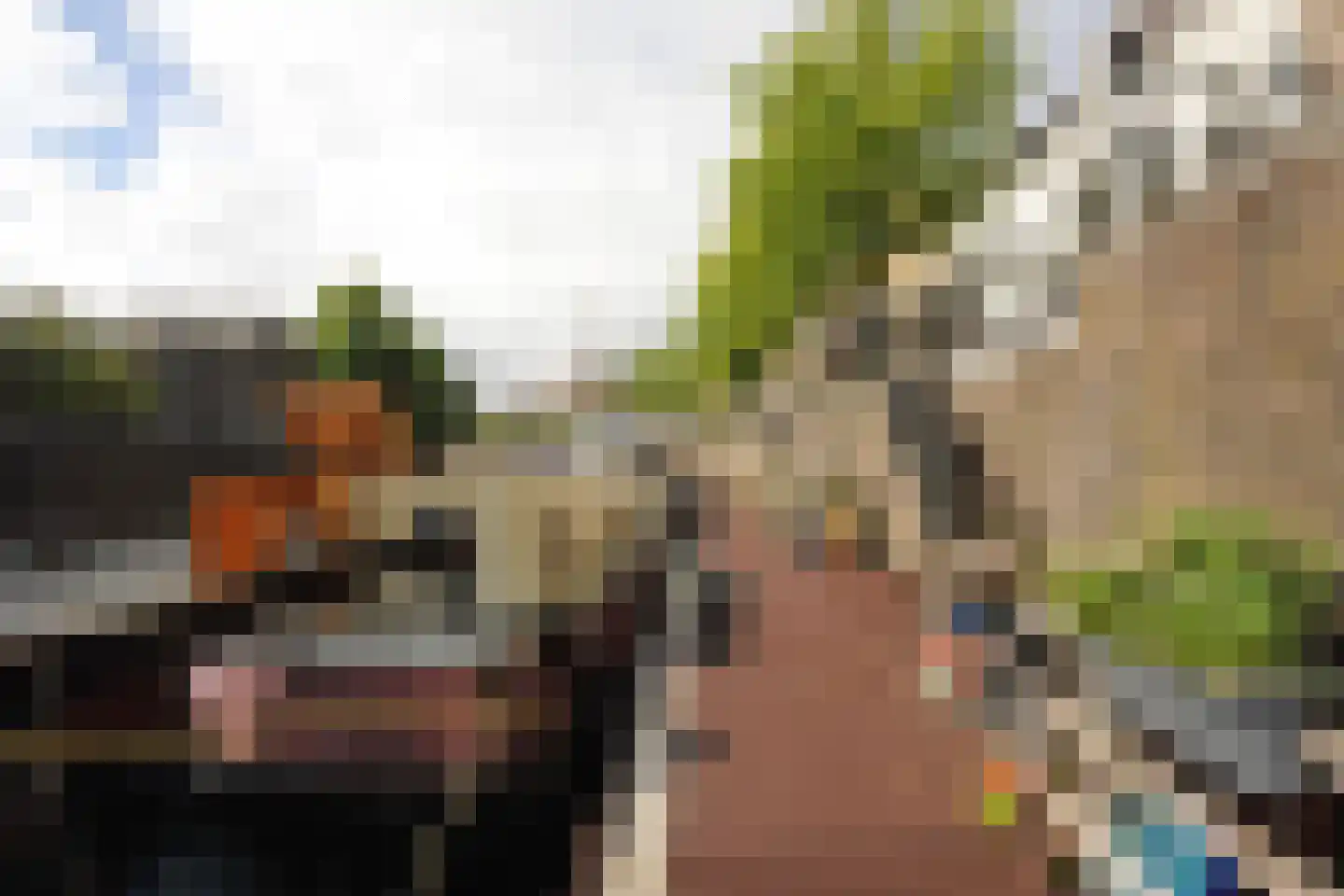 Brede Haven 57 A 's-Hertogenbosch thumbnail 5
