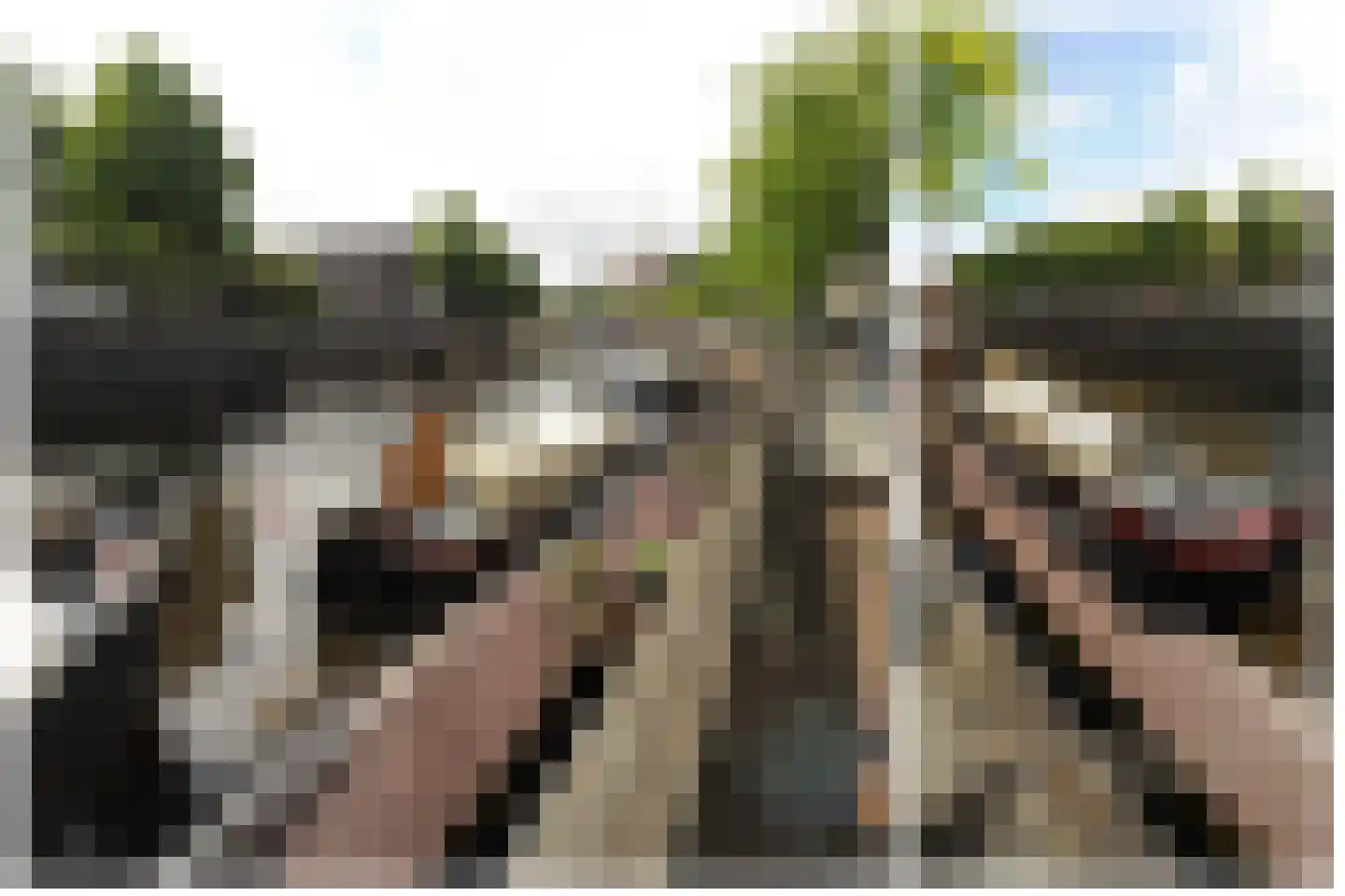 Brede Haven 57 A 's-Hertogenbosch thumbnail 8