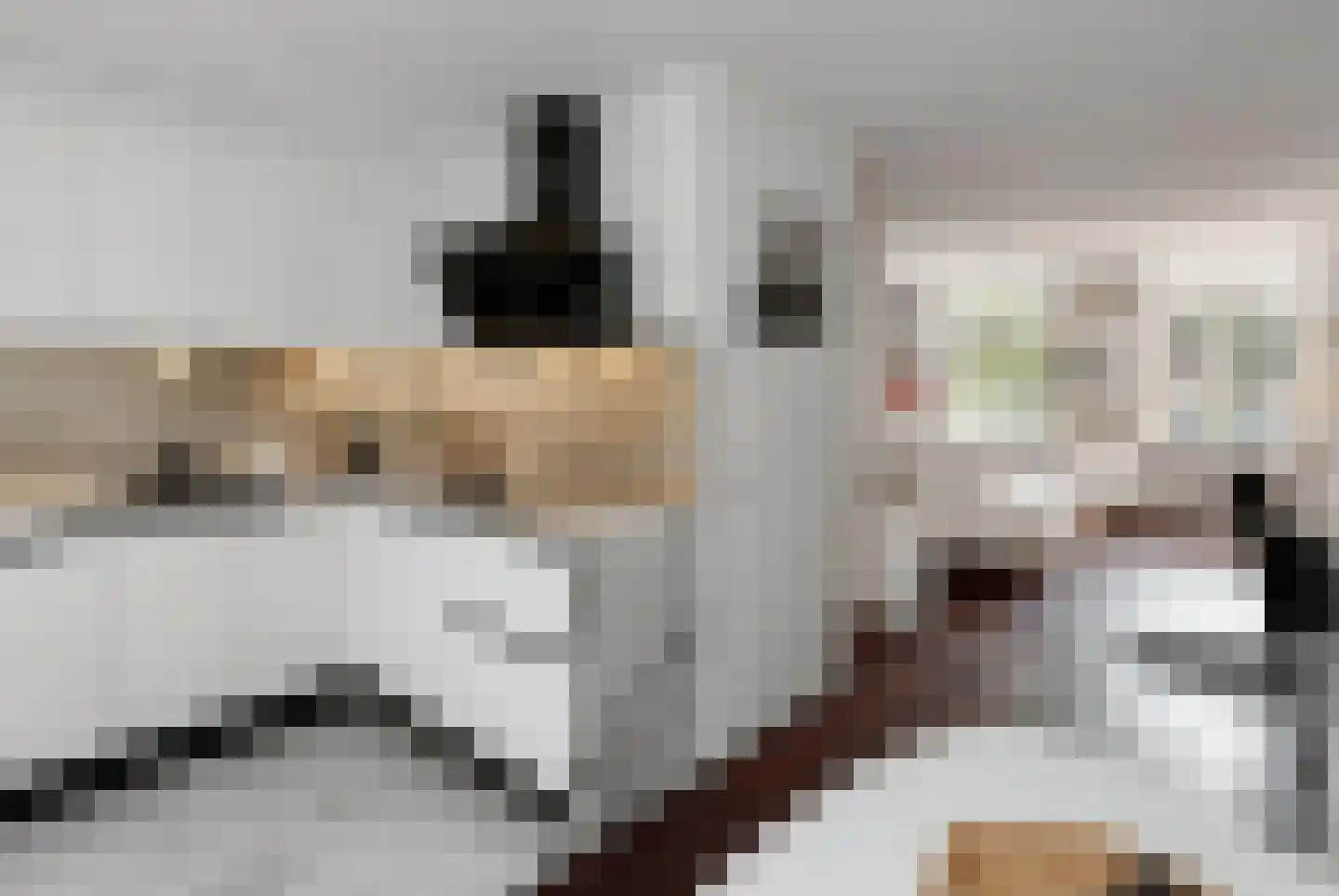 Brede Haven 68 A 's-Hertogenbosch thumbnail 13
