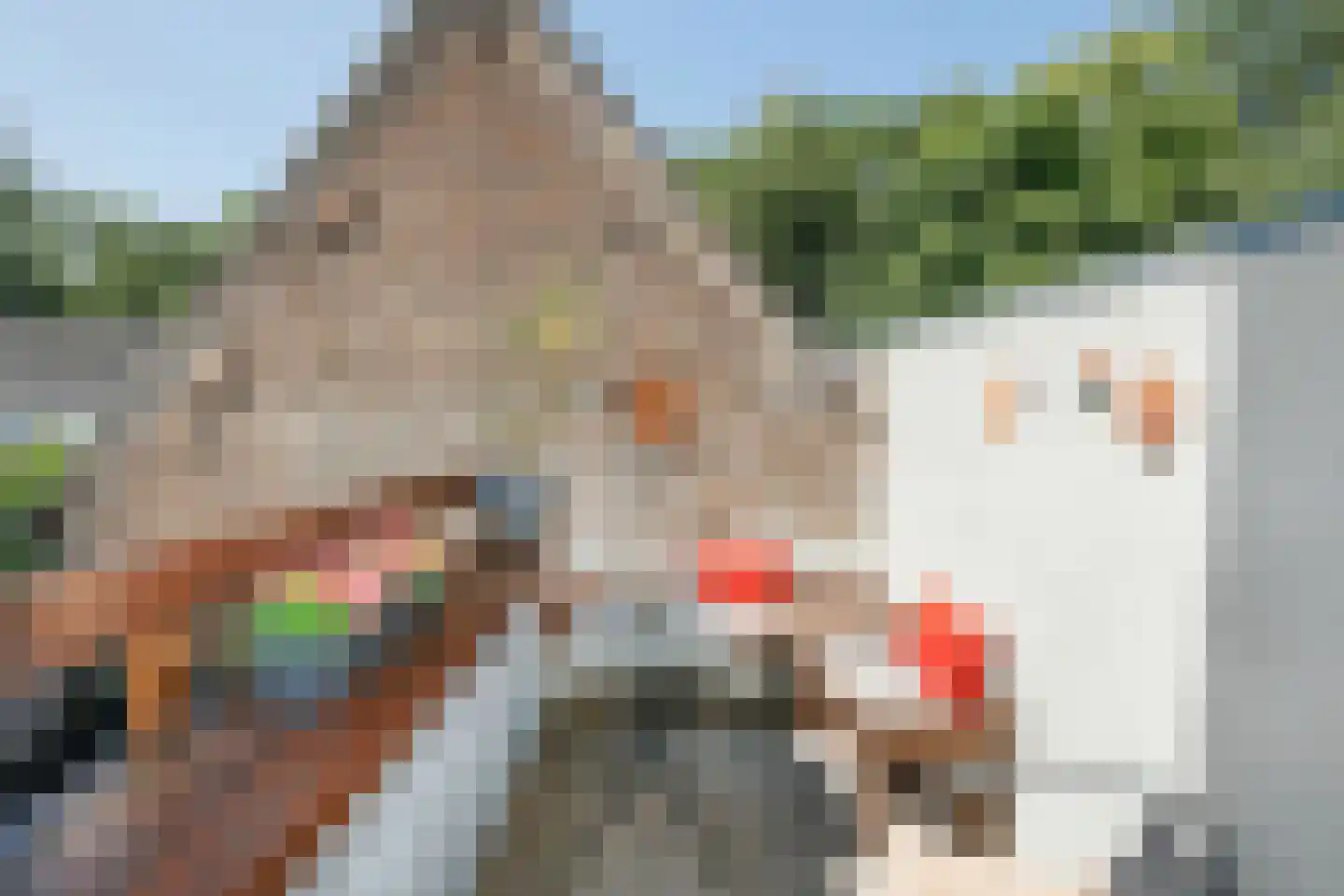 Brede Haven 68 A 's-Hertogenbosch thumbnail 19