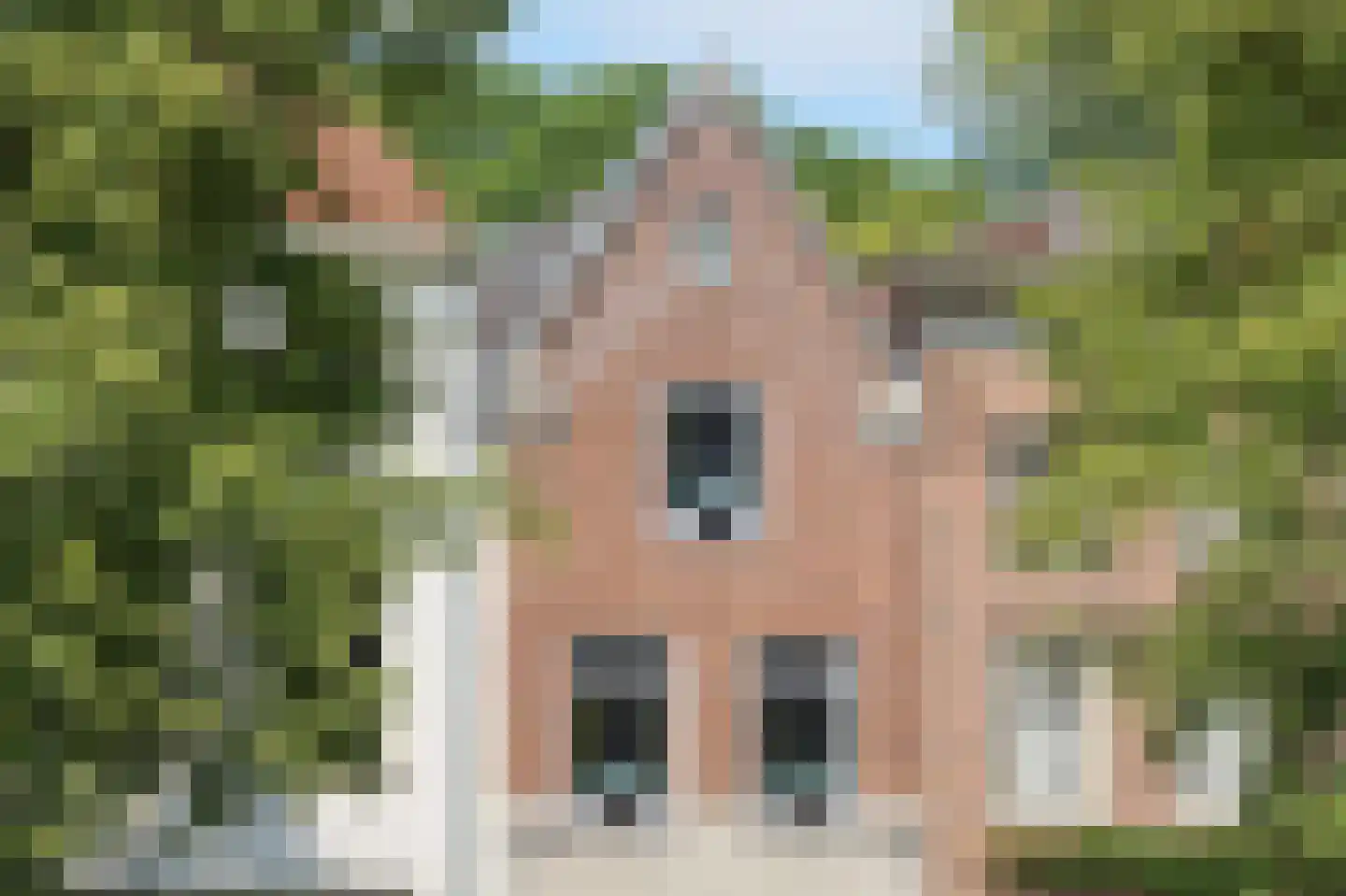 Brede Haven 68 A 's-Hertogenbosch thumbnail 39