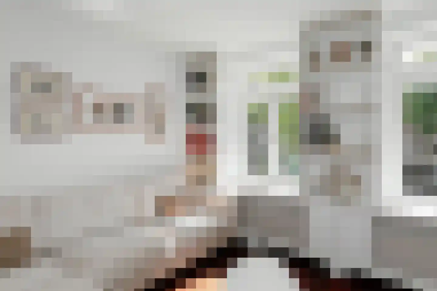 Brede Haven 68 A 's-Hertogenbosch thumbnail 7