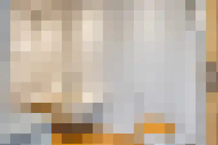 Brede Haven 68 's-Hertogenbosch thumbnail 11