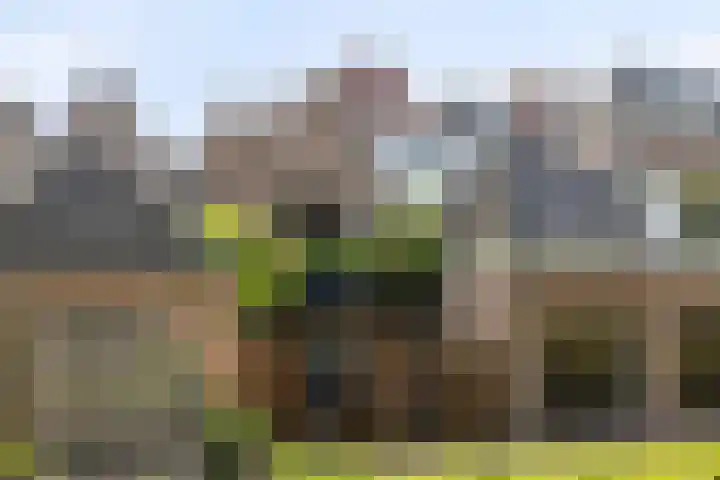 Brede Haven 68 's-Hertogenbosch thumbnail 27