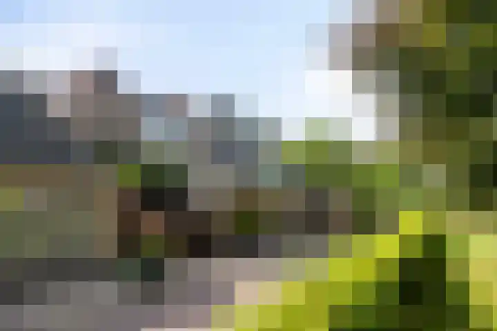 Brede Haven 68 's-Hertogenbosch thumbnail 28