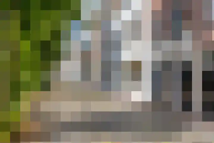 Brede Haven 68 's-Hertogenbosch thumbnail 29