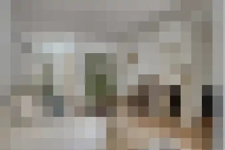 Brede Haven 68 's-Hertogenbosch thumbnail 5