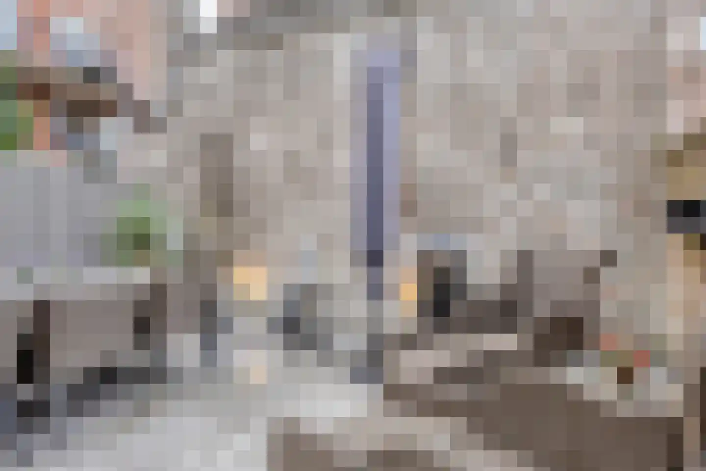 Brede Haven 7 A 's-Hertogenbosch thumbnail 33
