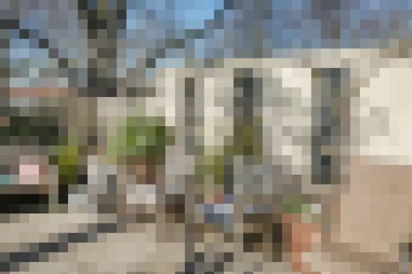 Brede Haven 72 's-Hertogenbosch thumbnail 20
