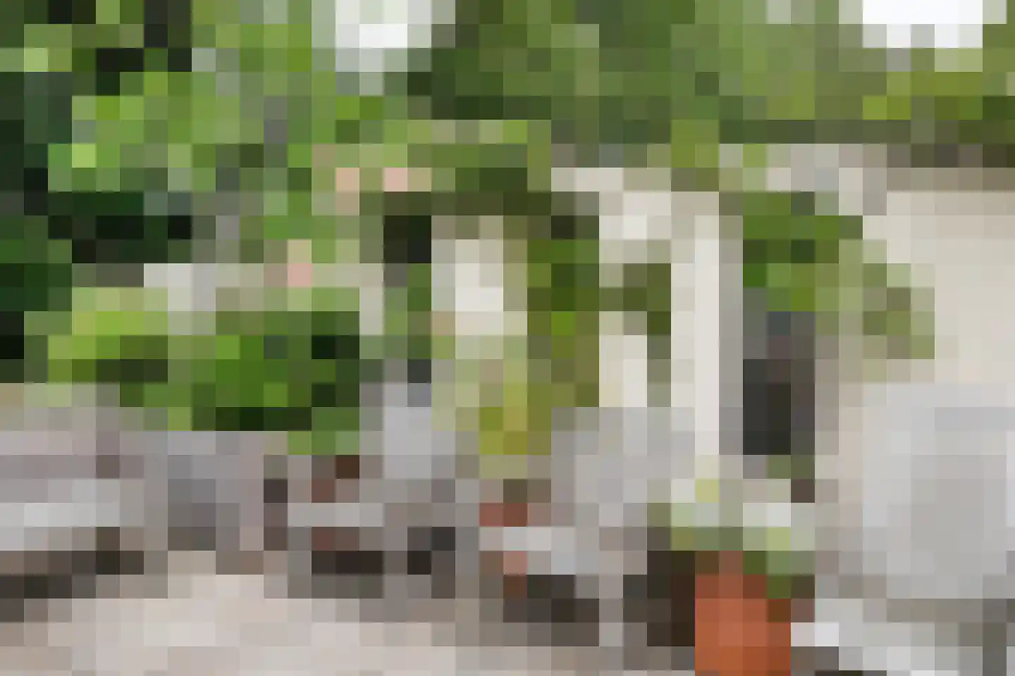 Brede Haven 72 's-Hertogenbosch thumbnail 22