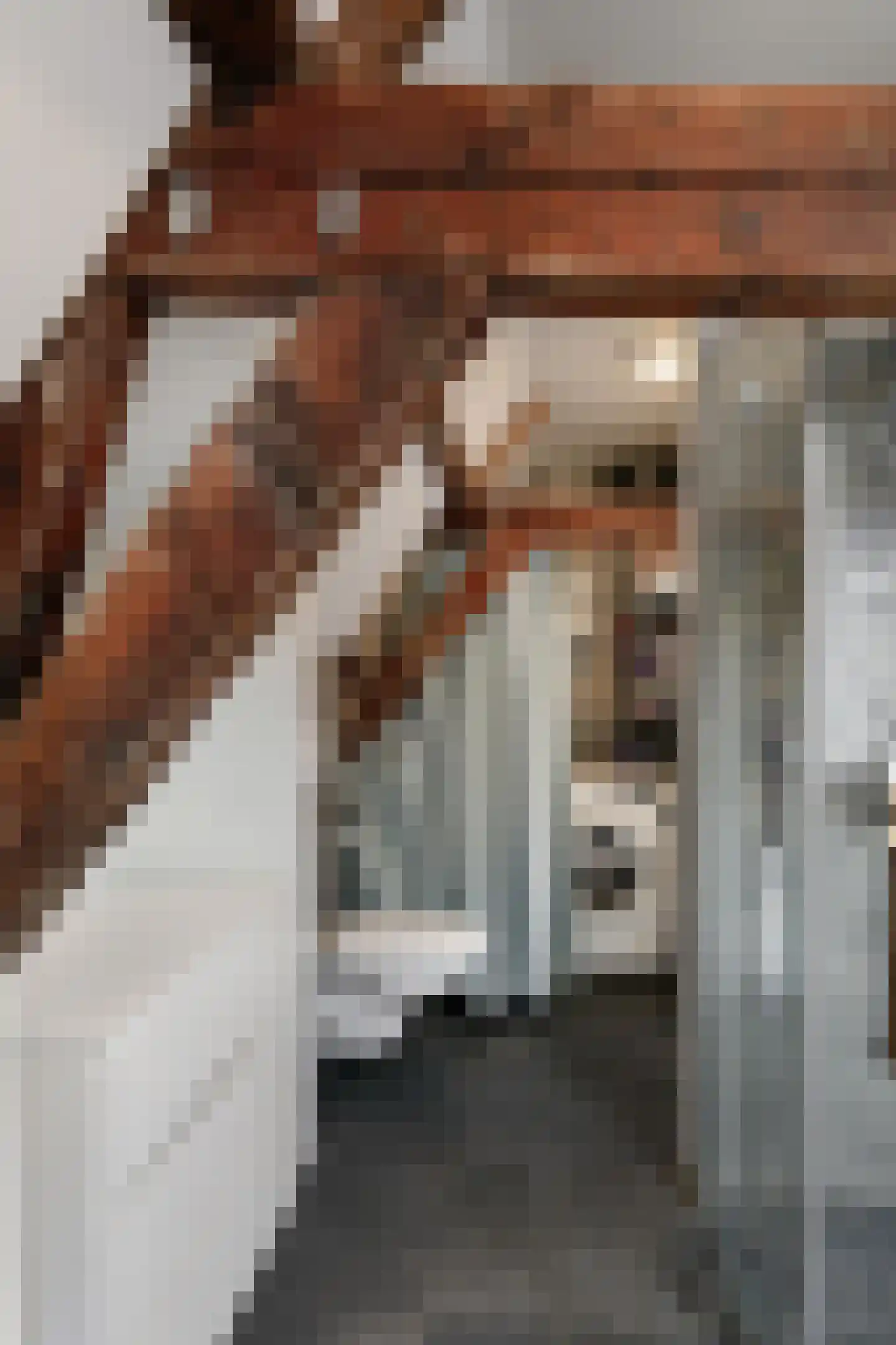 Brede Haven 72 's-Hertogenbosch thumbnail 38
