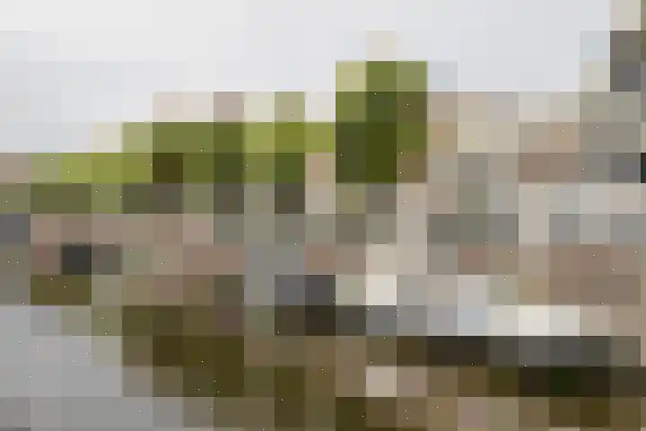 Brede Haven 72 's-Hertogenbosch thumbnail 44