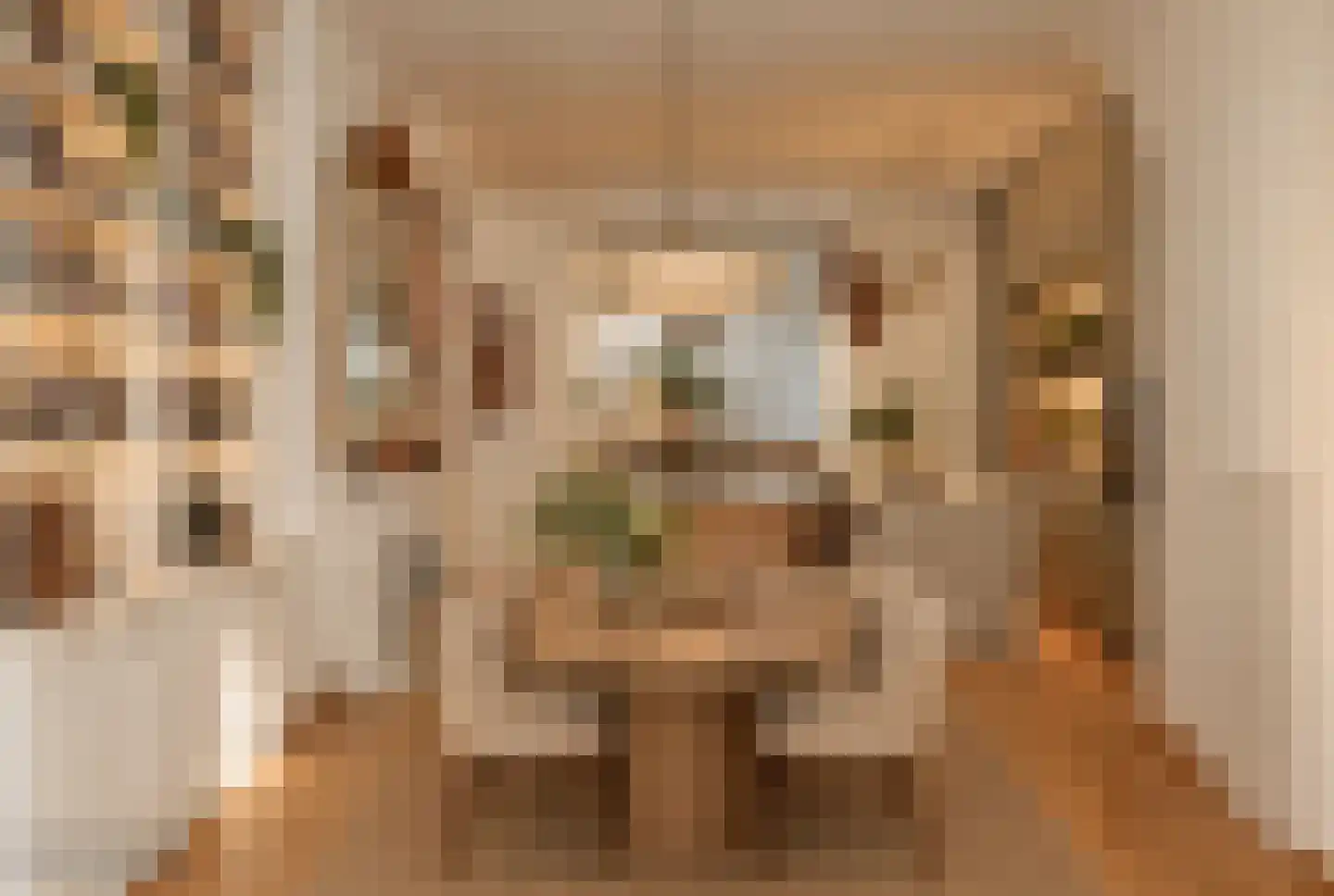 Brede Haven 72 's-Hertogenbosch thumbnail 7