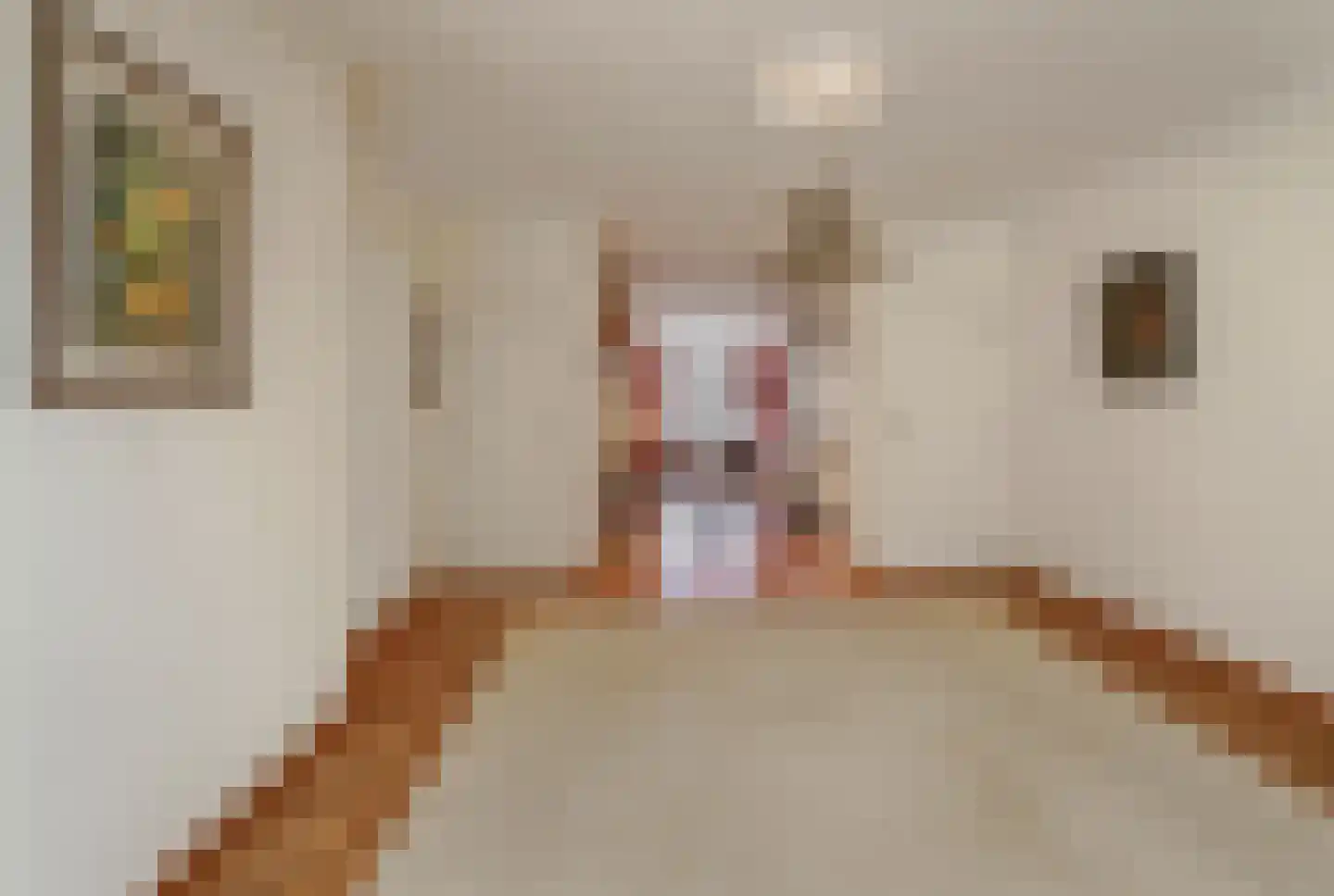 Brede Haven 72 's-Hertogenbosch thumbnail 9