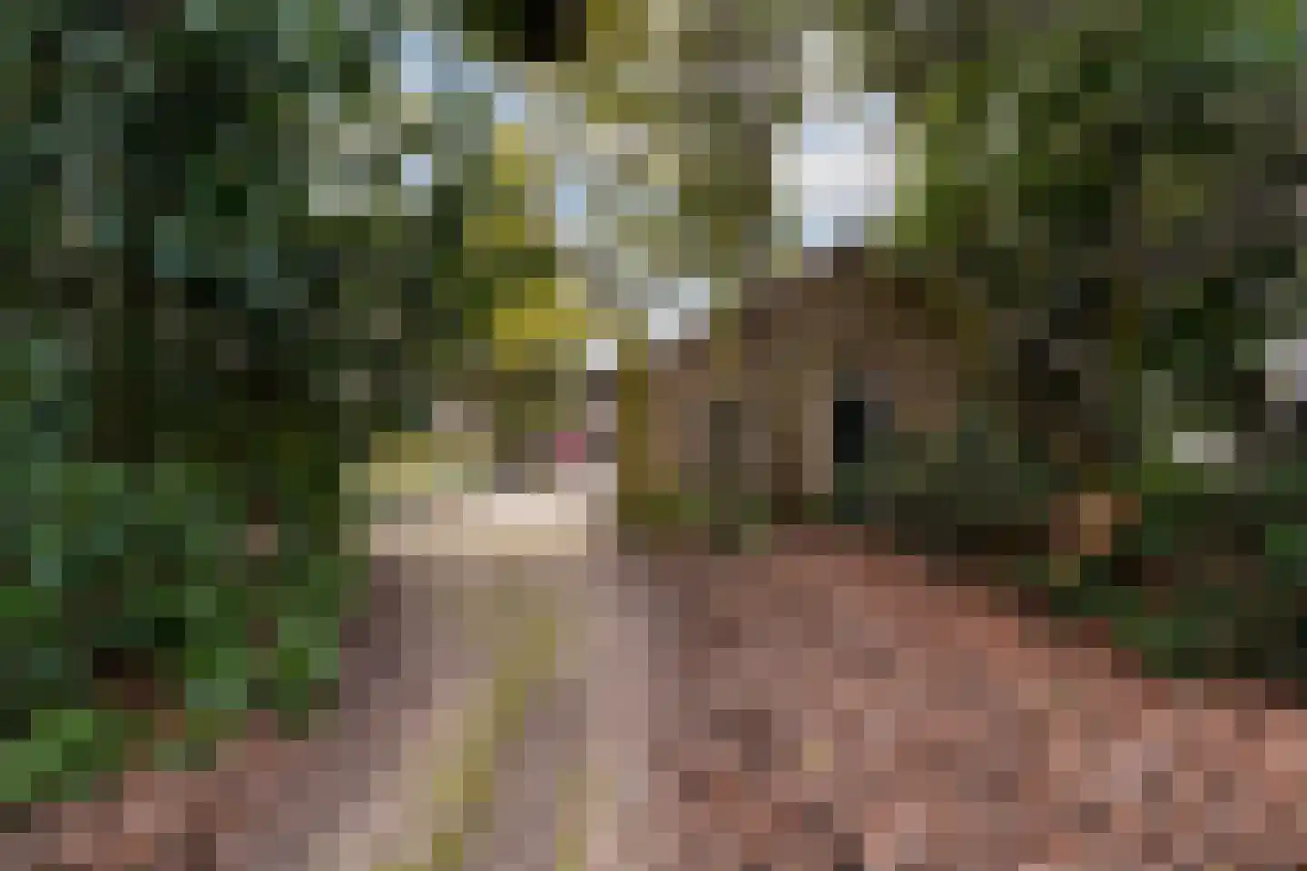 Brede Heide 5 Boxtel thumbnail 45
