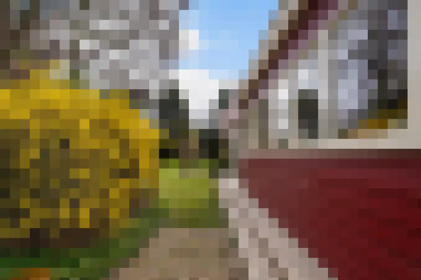 Brede Heide 5 Boxtel thumbnail 48