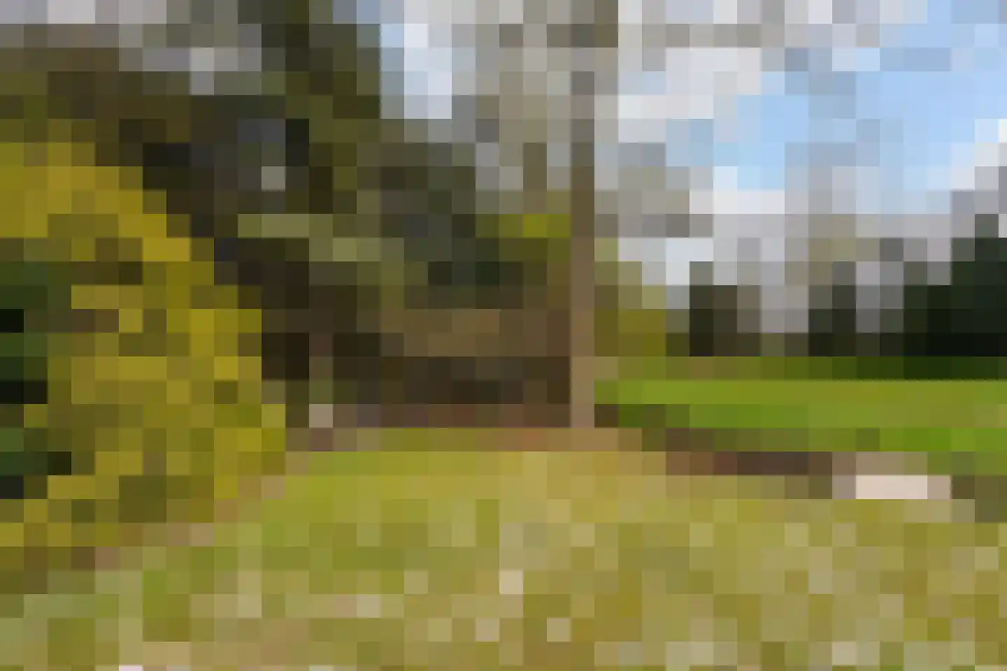Brede Heide 5 Boxtel thumbnail 50