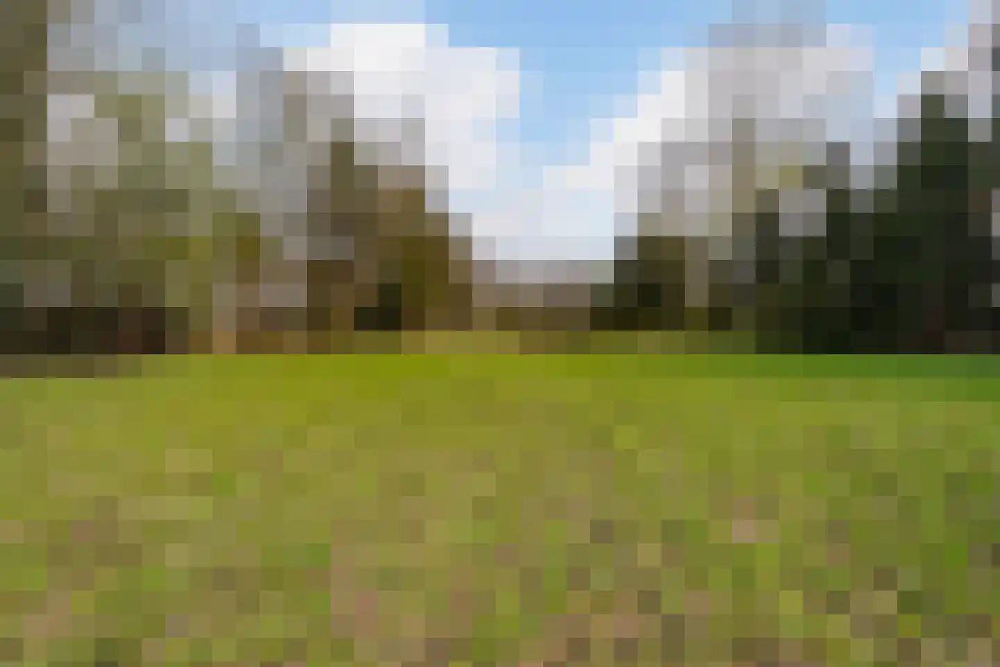 Brede Heide 5 Boxtel thumbnail 51