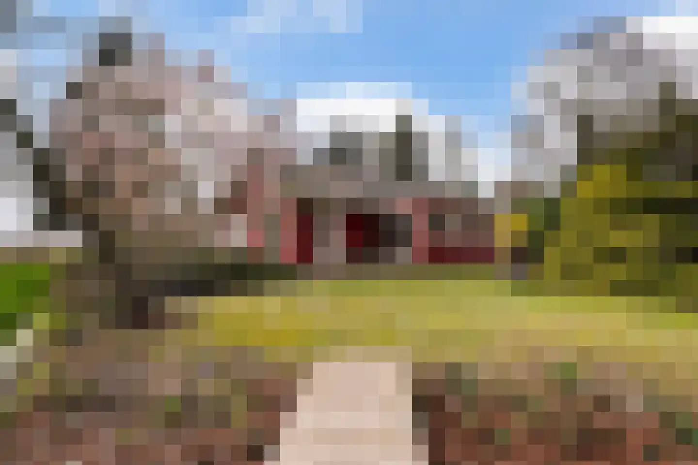 Brede Heide 5 Boxtel thumbnail 53