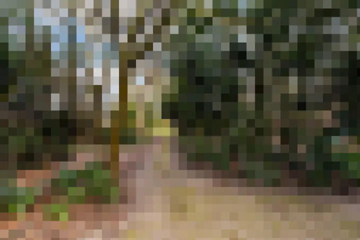 Brede Heide 5 Boxtel thumbnail 58