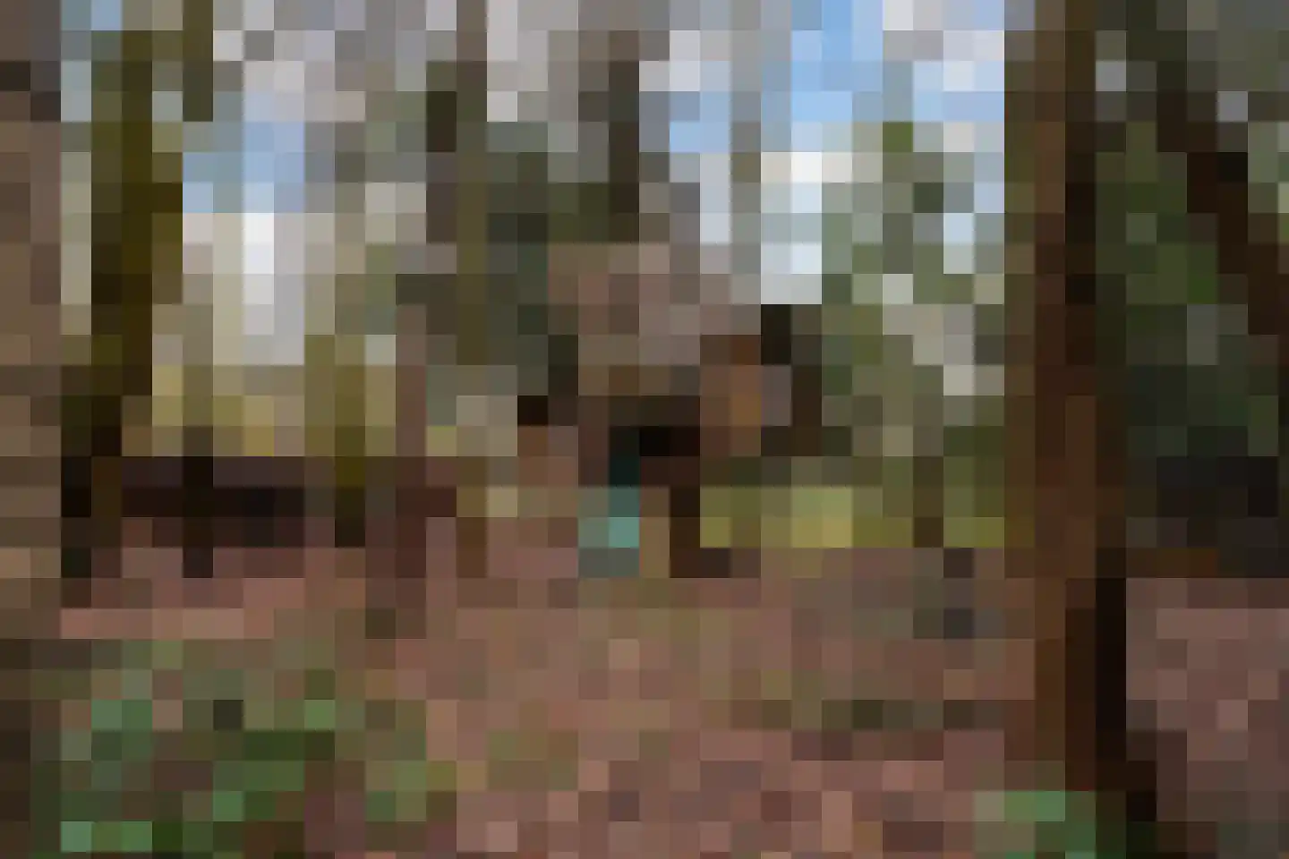 Brede Heide 5 Boxtel thumbnail 59