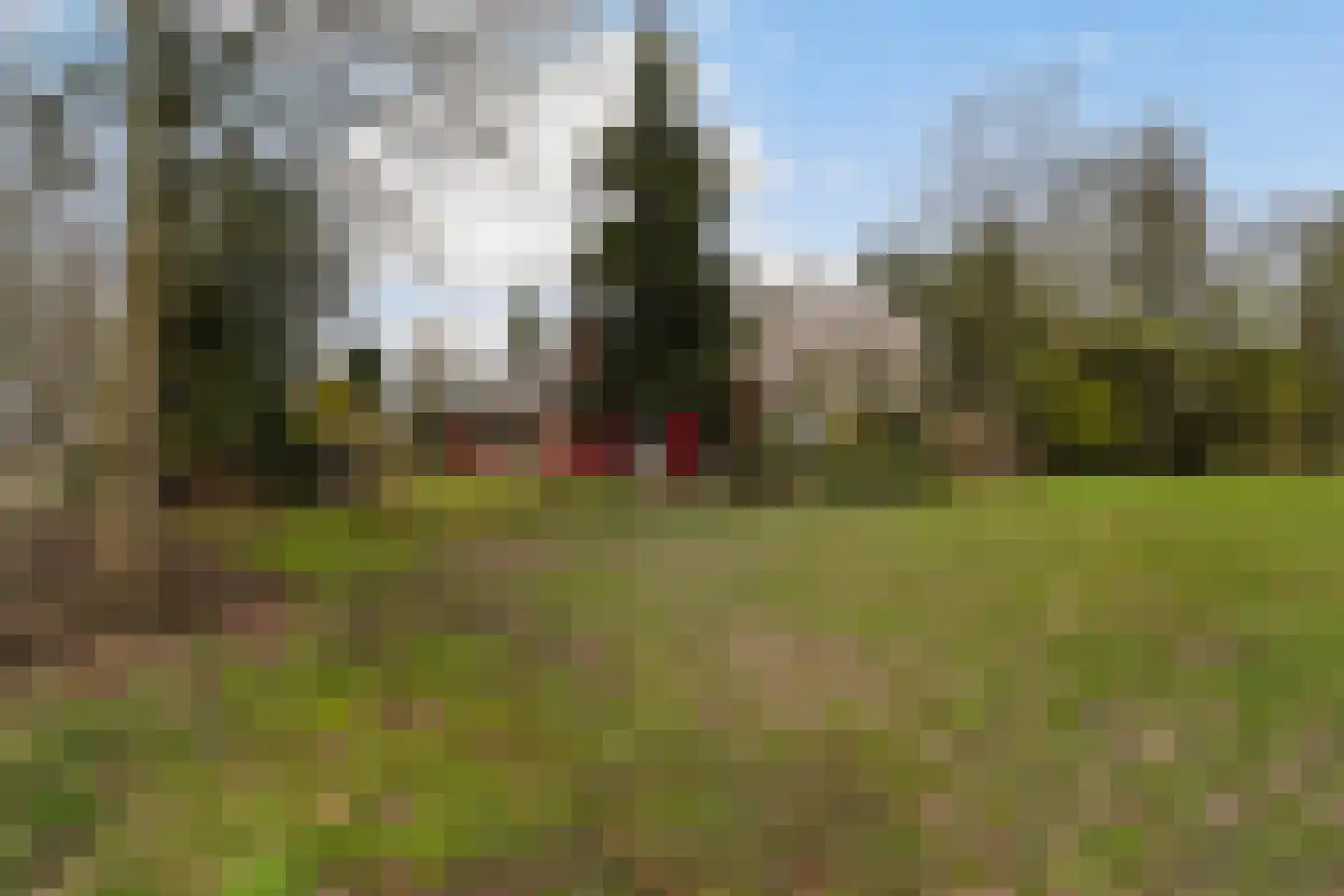 Brede Heide 5 Boxtel thumbnail 6
