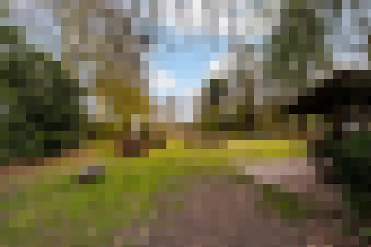 Brede Heide 5 Boxtel thumbnail 60