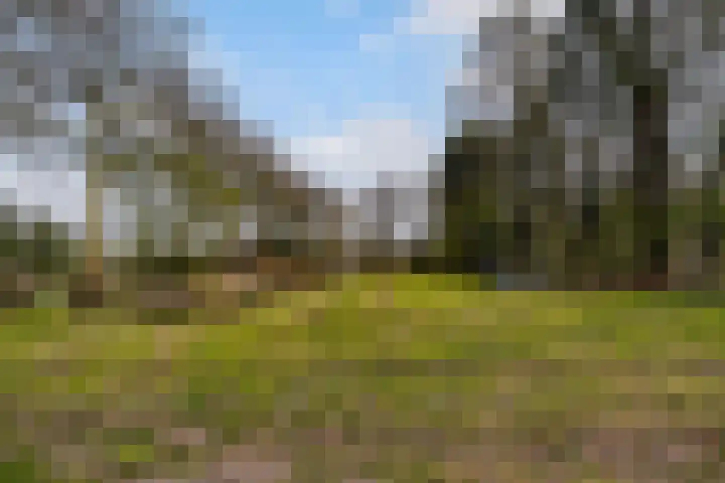 Brede Heide 5 Boxtel thumbnail 61