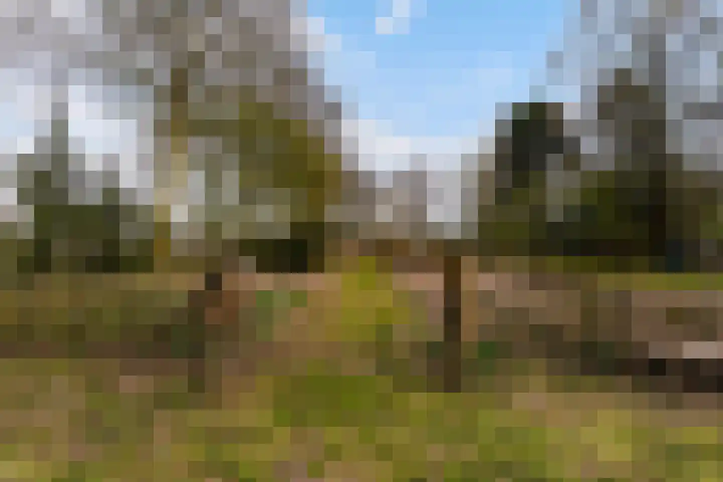 Brede Heide 5 Boxtel thumbnail 62