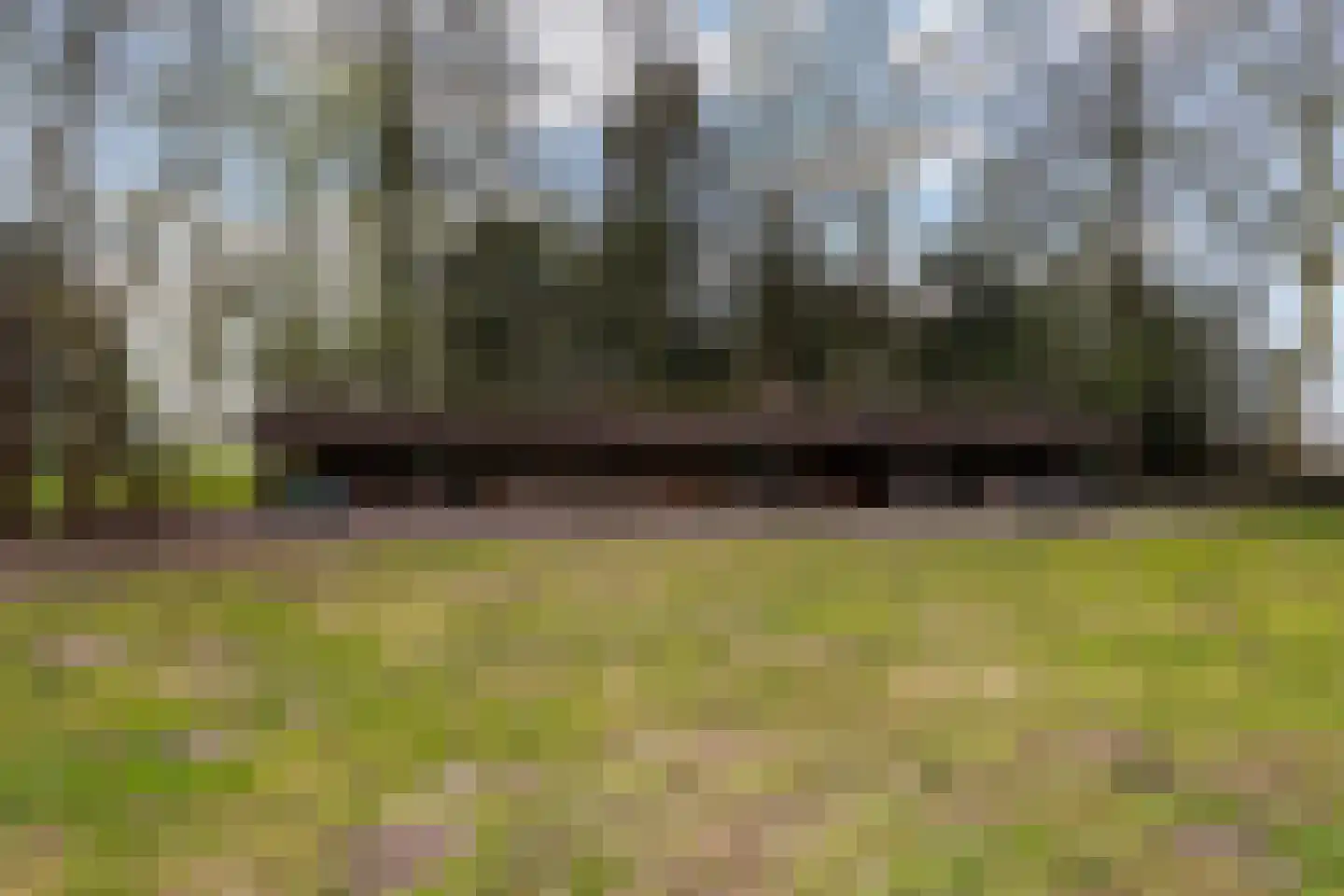 Brede Heide 5 Boxtel thumbnail 63