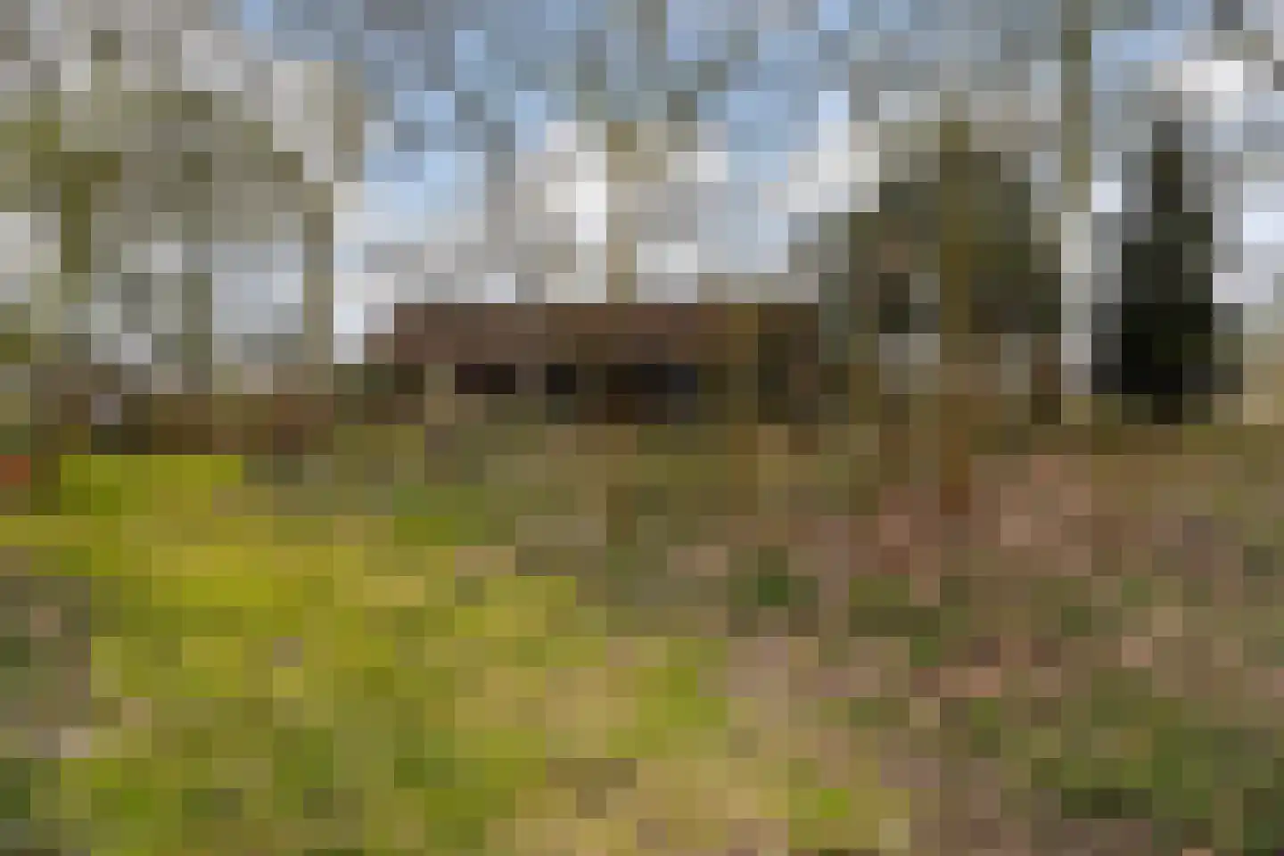 Brede Heide 5 Boxtel thumbnail 65