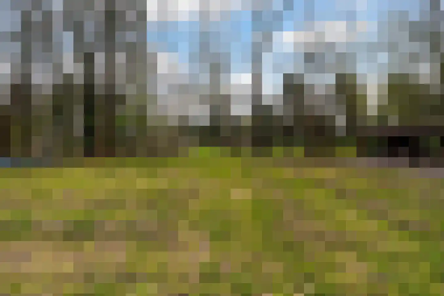 Brede Heide 5 Boxtel thumbnail 67